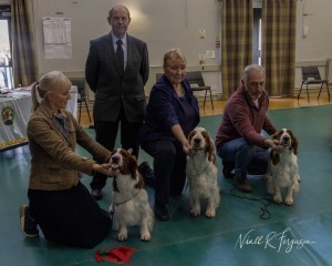 Winners of Brace